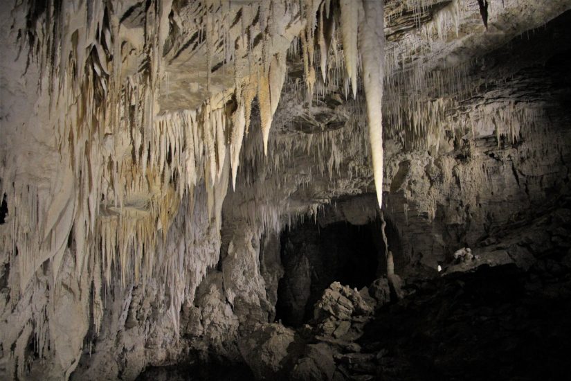 Unterwegs im Ruakuri Cave
